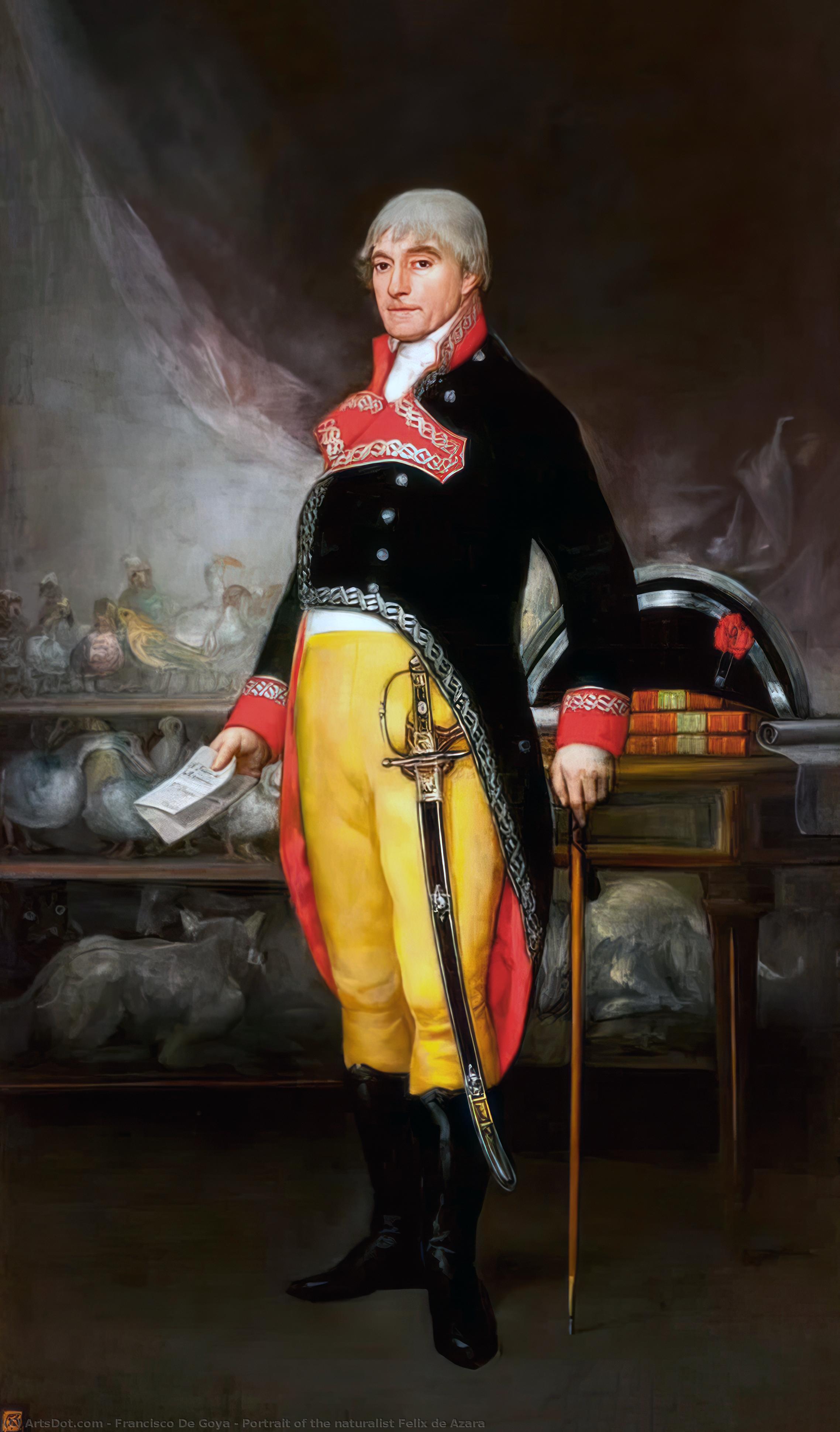 Retrato Del Naturalista Félix De Azara — Francisco José De Goya Y Lucientes