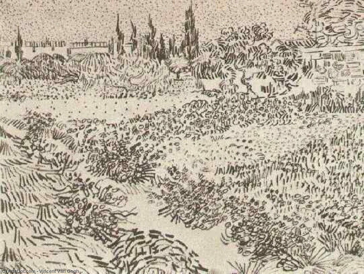 vincent willem van gogh - Garten mit Blumen 2