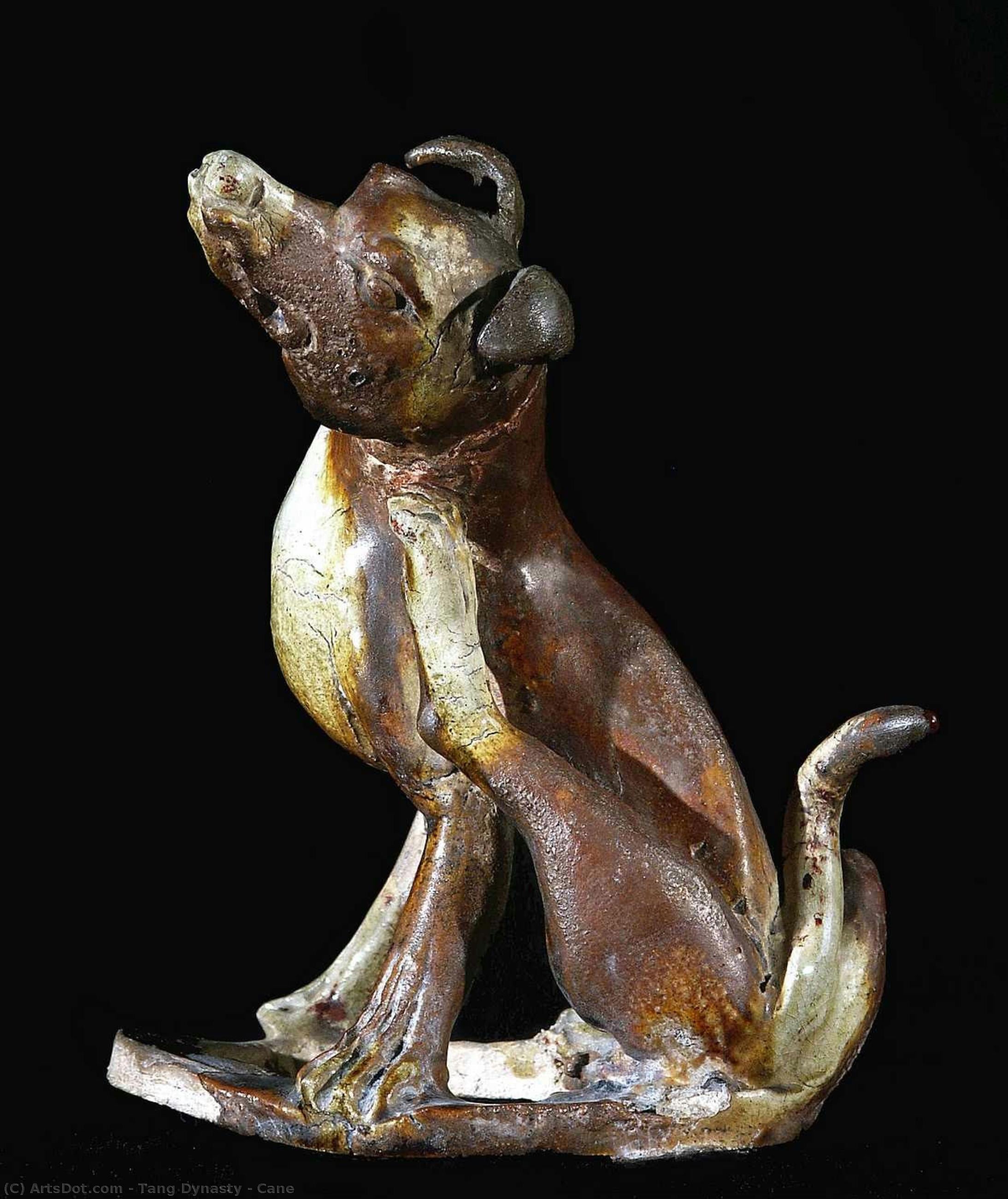 Cane — Tang Dynasty