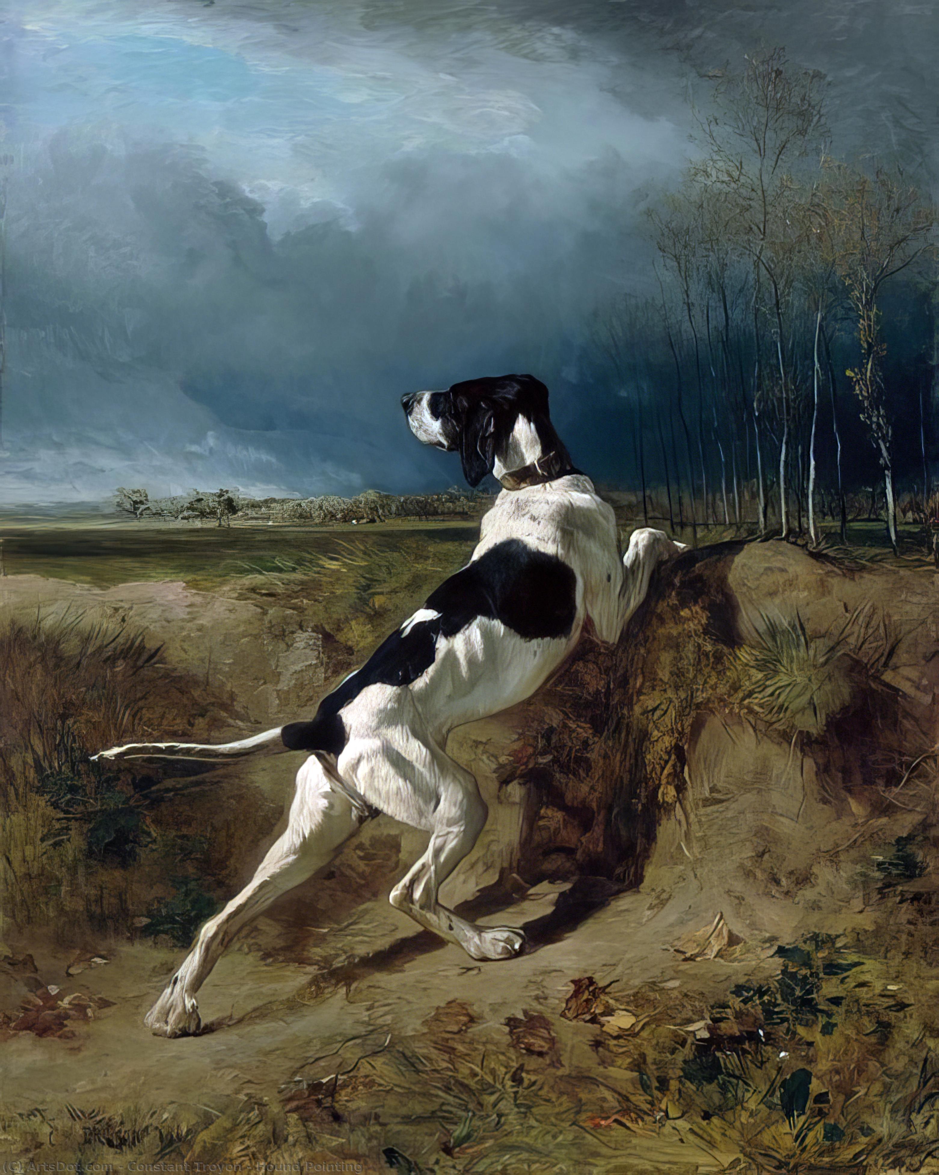 Hound Pointing — Constant Troyon