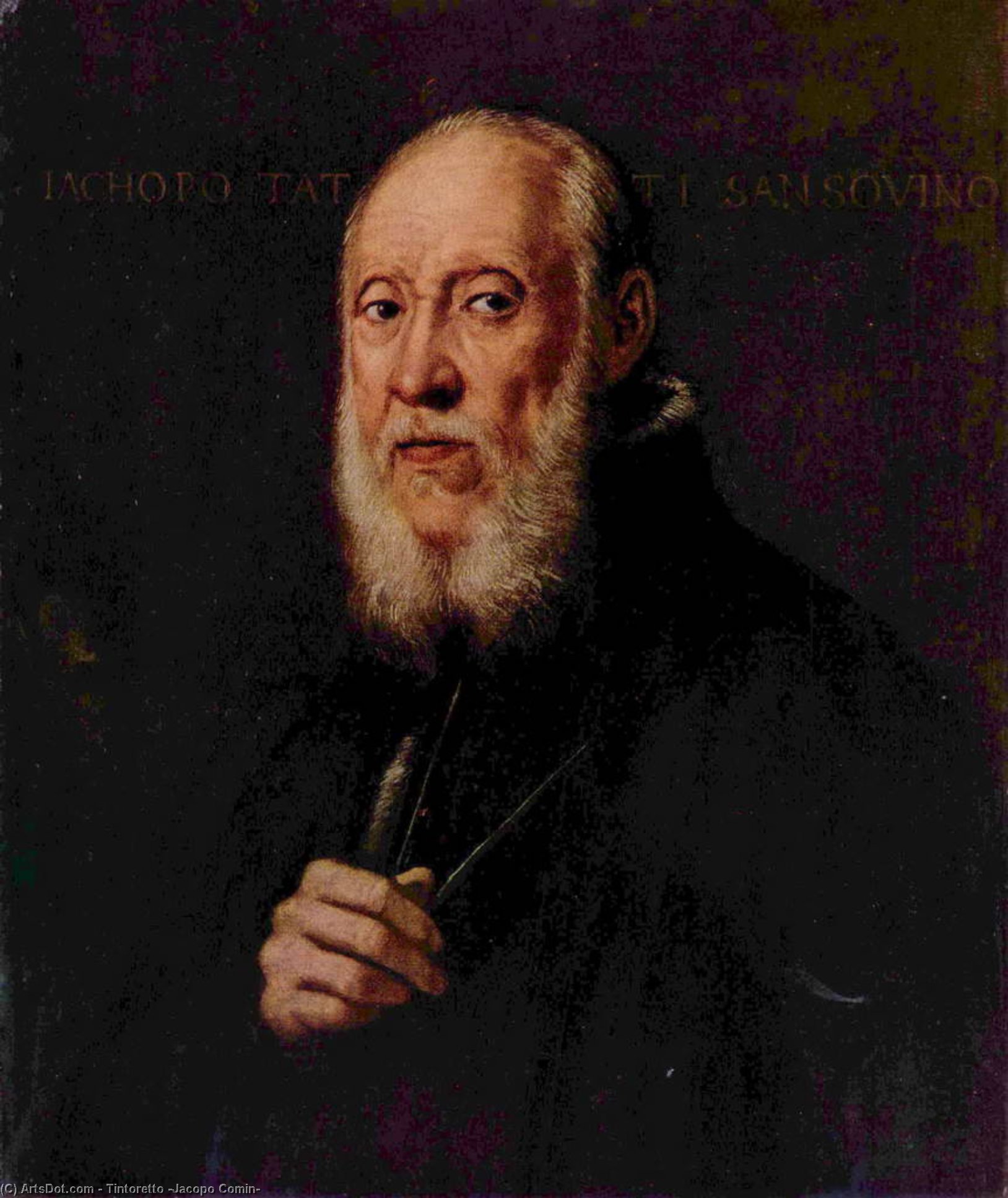 Retrato Del Escultor Jacopo Sansovino — Jacopo Tintoretto
