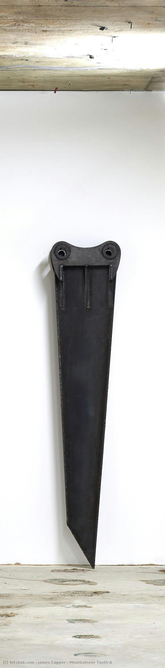 Mountaineer Tooth A — James Capper