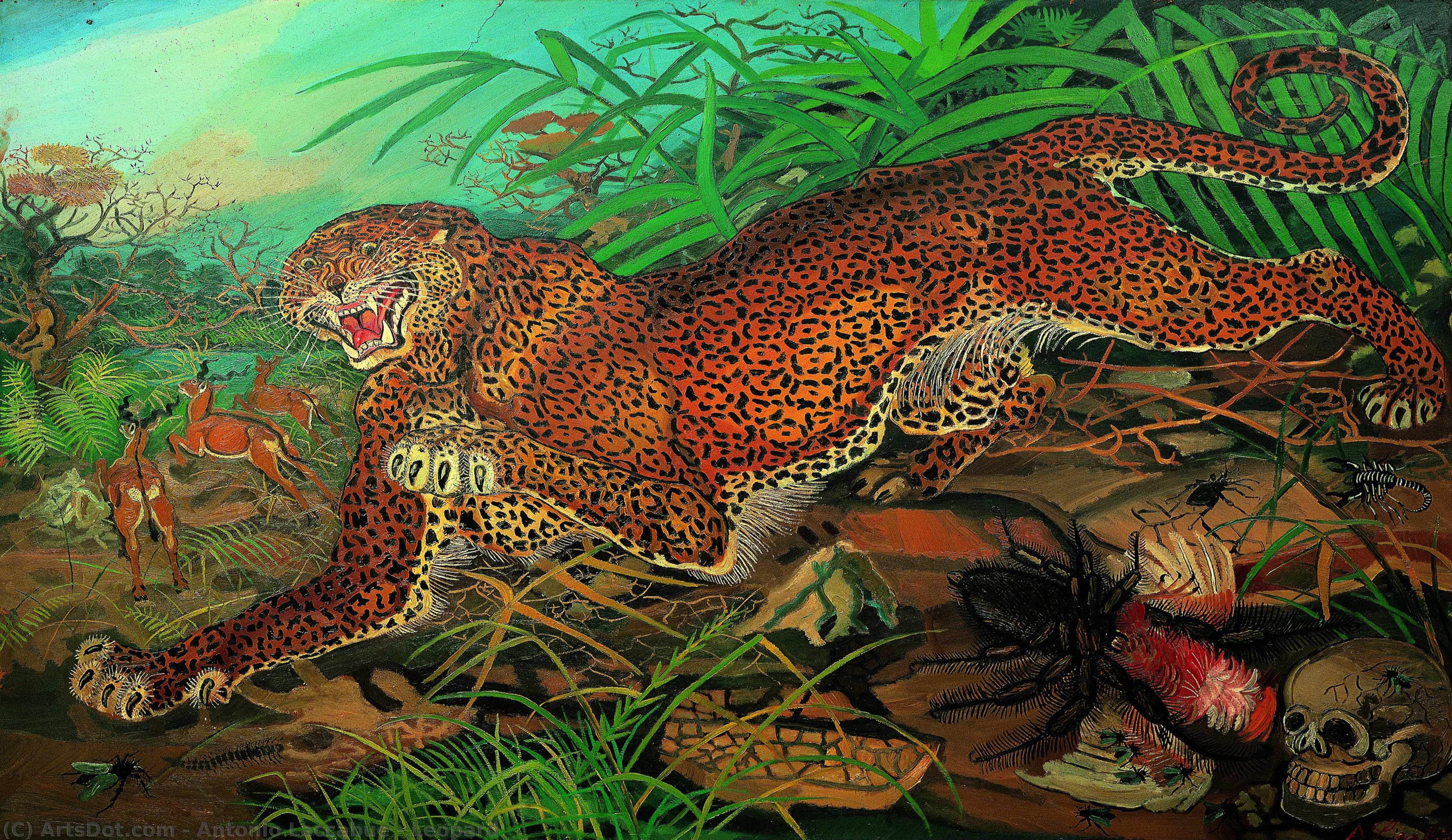Leopard — 안토니오 라카부에
