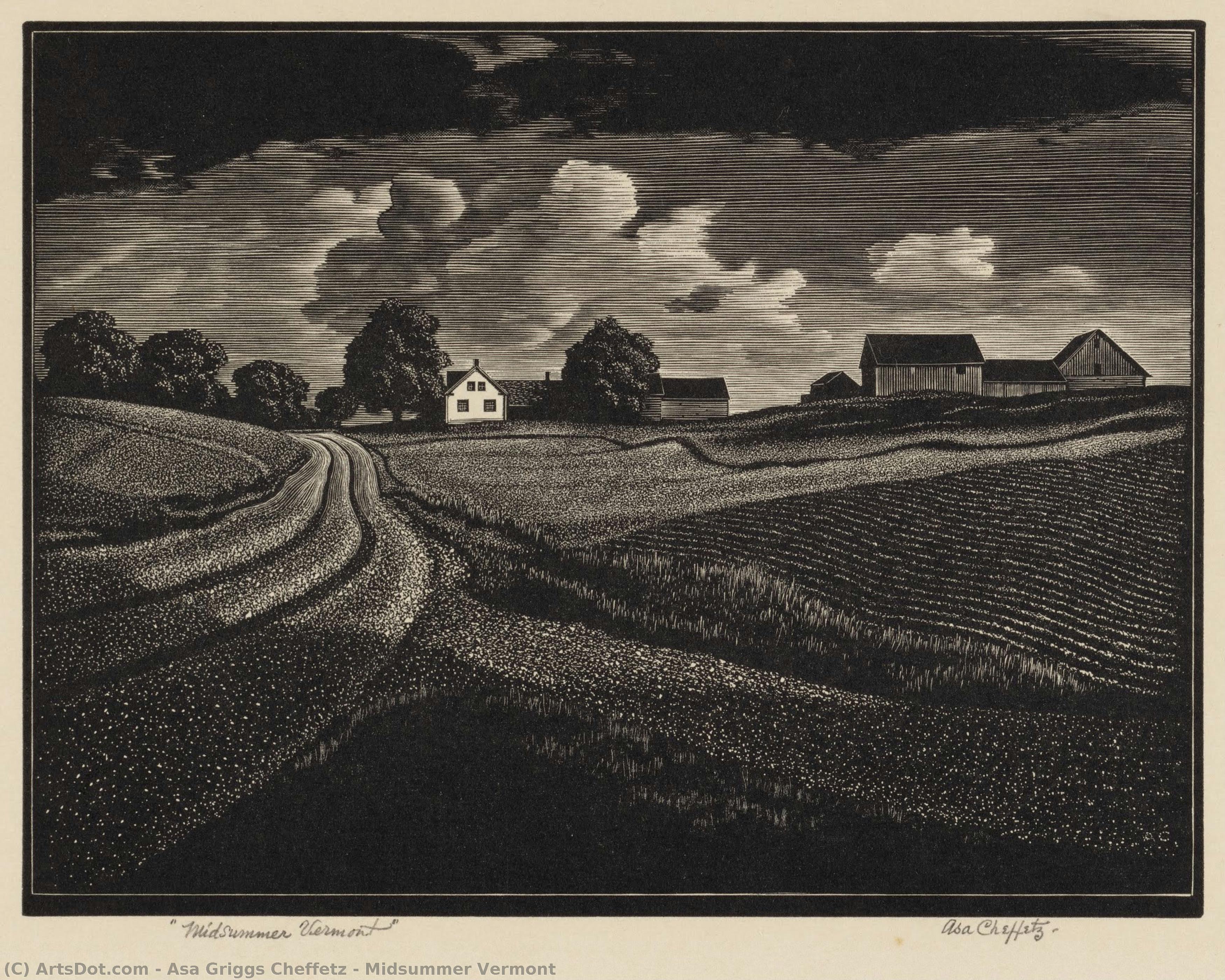 Midsummer Vermont — Asa Griggs Cheffetz