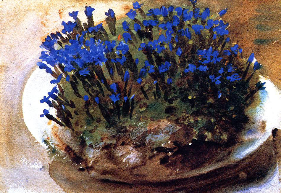 Blue Gentians — John Singer Sargent