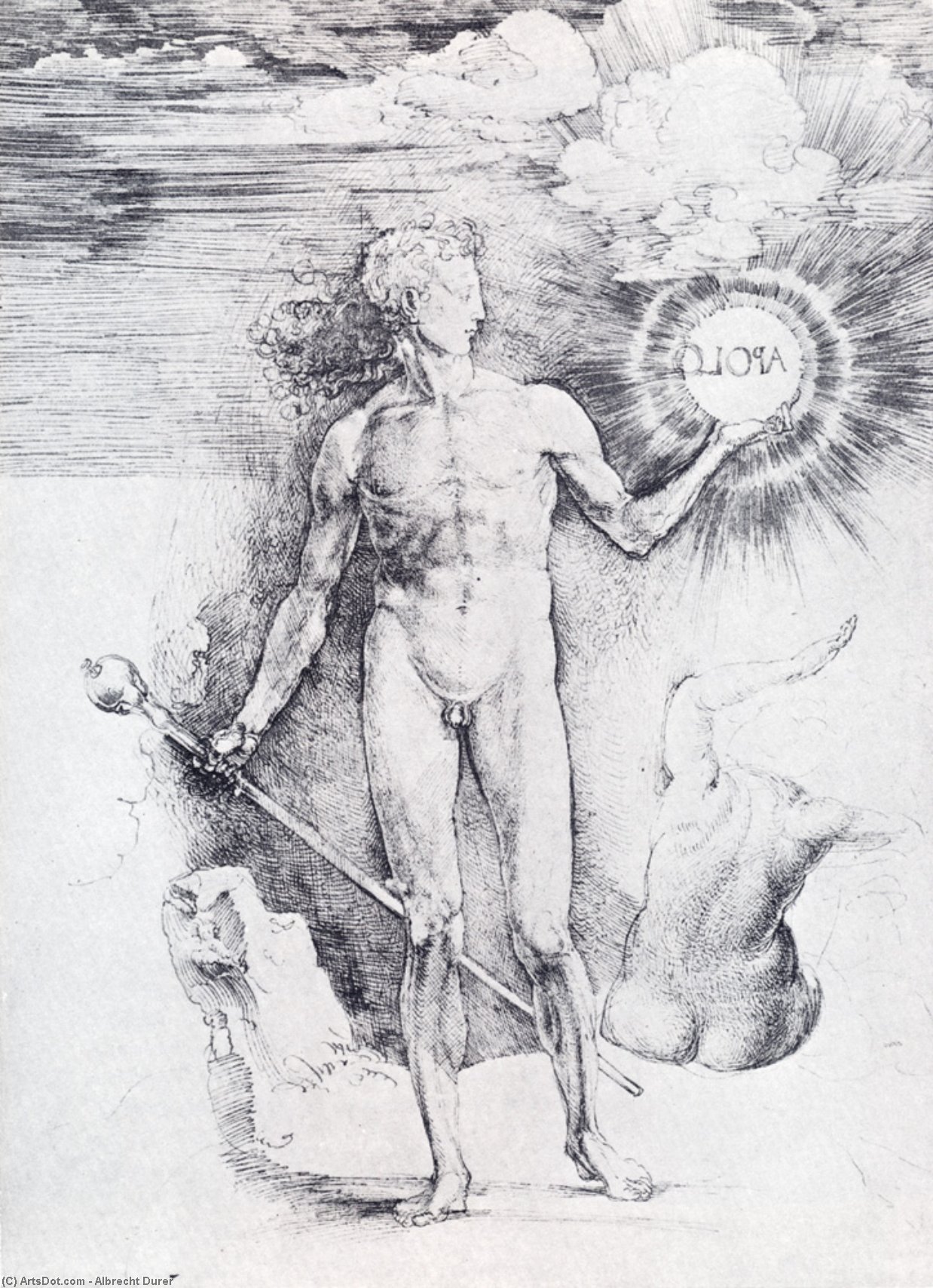 Apollo Con Il Disco Solare — Albrecht Dürer