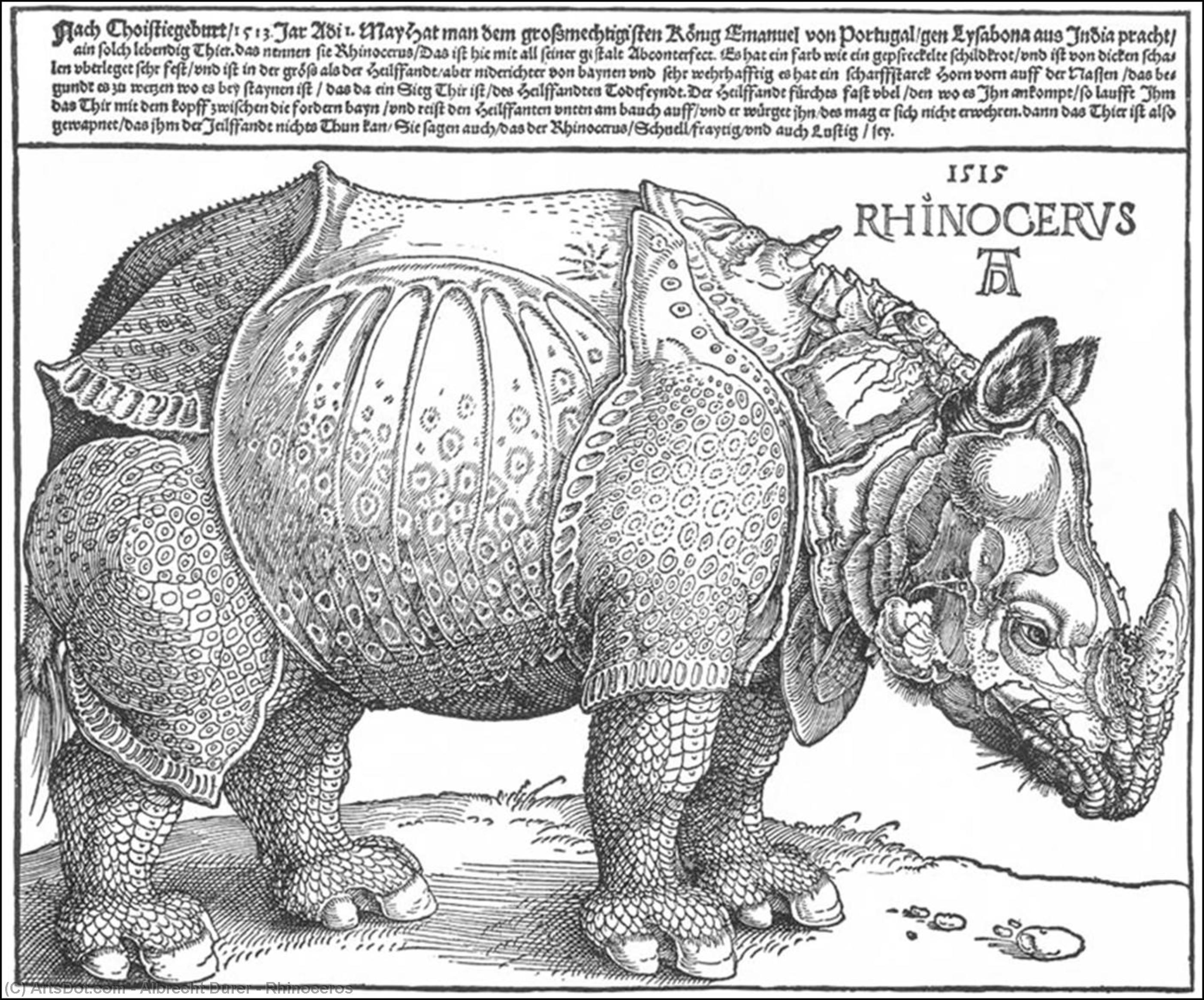Nashorn — Albrecht Dürer