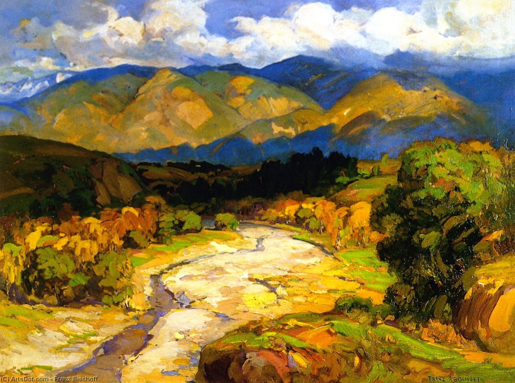 Cloud Shadows — Franz Bischoff