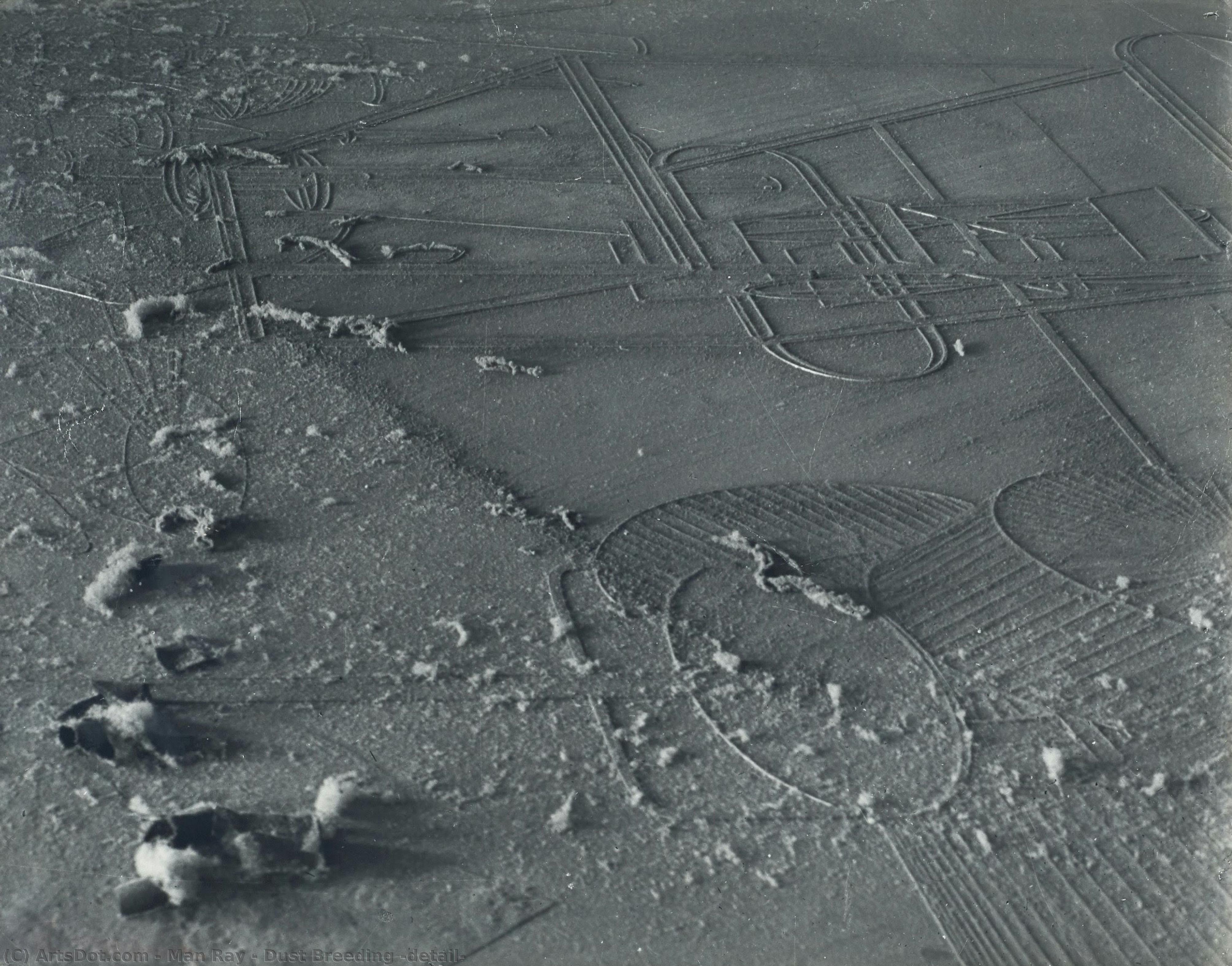 马奈·雷 (Mǎ Nài Léi) - Dust Breeding (detail)