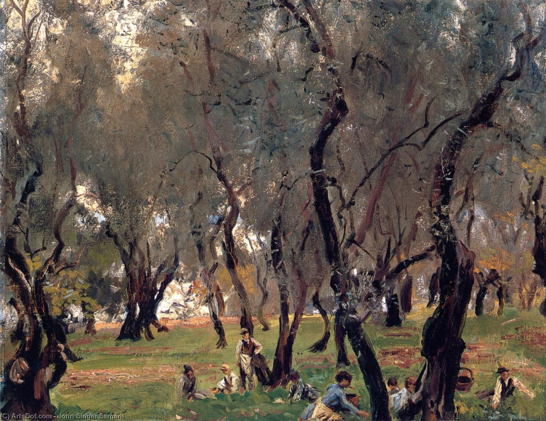 L'oliveto — John Singer Sargent, Olio Su Tela, Paesaggio Impressionista