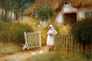 Feeding The Doves