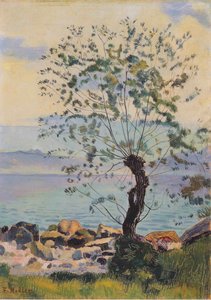 Willow Tree By The Lake — Ferdinand Hodler, Post-impressionist Landscape
