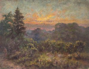 Addington Hills, Croydon, Surrey, July Evening