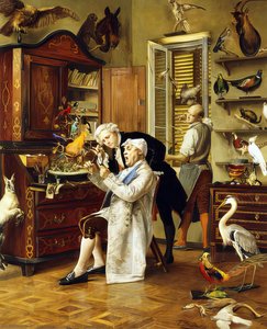 The Taxidermist — François Brunery