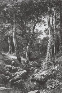 Forest Stream — Ivan Ivanovich Shishkin, Realism