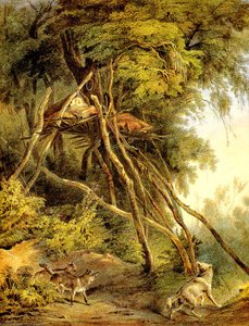 Tombs of Assiniboin Indians in Trees