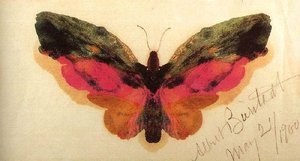 Butterfly 1 — Albert Bierstadt, Hudson River School