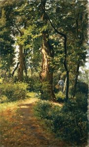 In The Woods — Adolfo Tommasi