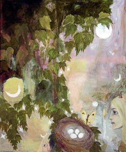 Unfinished Nest