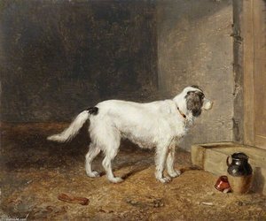 A White Dog Standing By A Doorstep — Edmund Bristow
