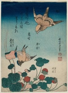 Hokusai - Șurik și Cenușă Gălbuie Cu Begonie Și Zâmbet Dulc Domnului