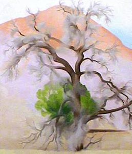 Pinons With Cedar — Georgia O'keeffe
