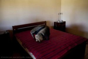 From The Series — Juan Del Castillo