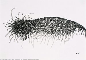 A Metamorfose Ii — Ana Hatherly De Sousa