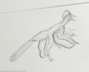 Anchiornis