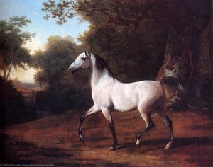 Jacques Laurent Agasse - A Grey Arab Stallion in a Wooded Landscape