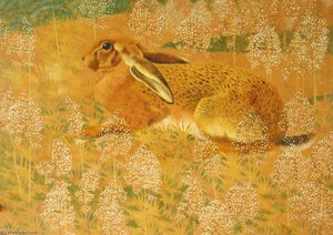 Sitting Hare — Charles Frederick Tunnicliffe