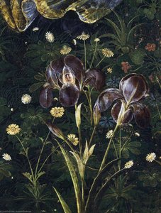 Primavera - — Sandro Botticelli