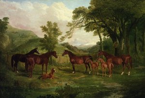 Streatlam Stud, Mares And Foals — John Frederick Herring Senior
