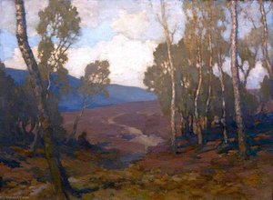 Landscape — James Cadenhead