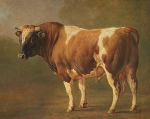 Study Of A Bull, Jacques Raymond Brascassat, 1830 - 1867 — Jacques Raymond Brascassat