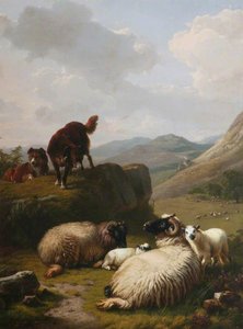 Sheep And Dogs — Eugène Joseph Verboeckhoven
