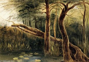 A Pool In A Wooded Landscape, Ceylon — Andrew Nicholl