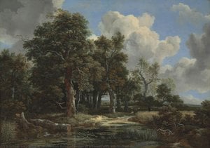 Lisière de forêt avec un champ de céréales