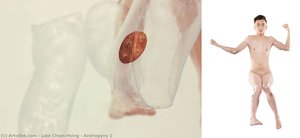 Androgyny 1 — Lien Chien Hsing