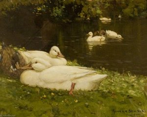 The Duck Pond — Patrick Downie