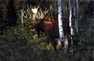 Moose — John Jones