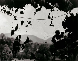 North Carolina 9 — Aaron Siskind