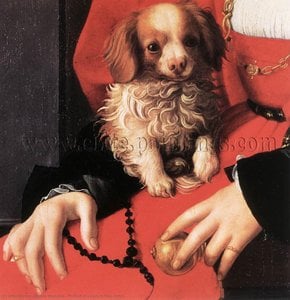 Agnolo Bronzino - Portrait of a Lady in Red (detail)