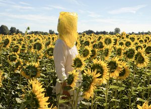 Portrait Series (Gelbe Musik with Sunflowers)