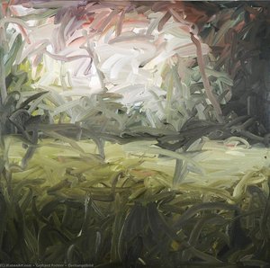 Image de la forêt