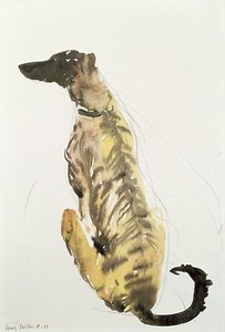 lucy willis - Lurcher Sitting