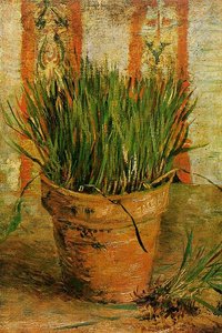 Flowerpot Avec Des Ciboulette — Vincent Willem Van Gogh