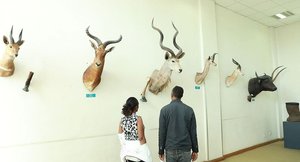 Oromia Museum
